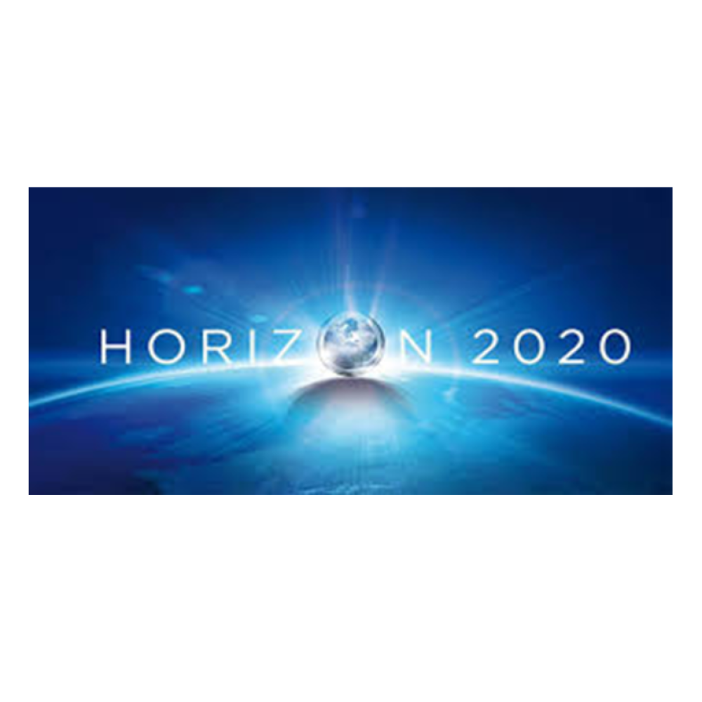 0.HORIZON 2020 FLOAT